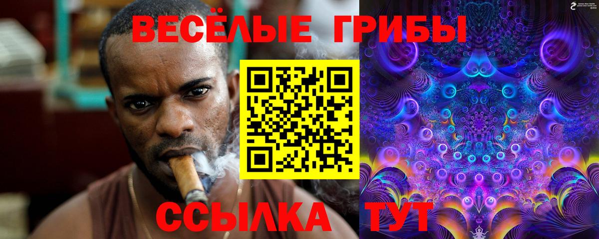 Псилоцибиновые грибы MAGIC MUSHROOMS Фрязино